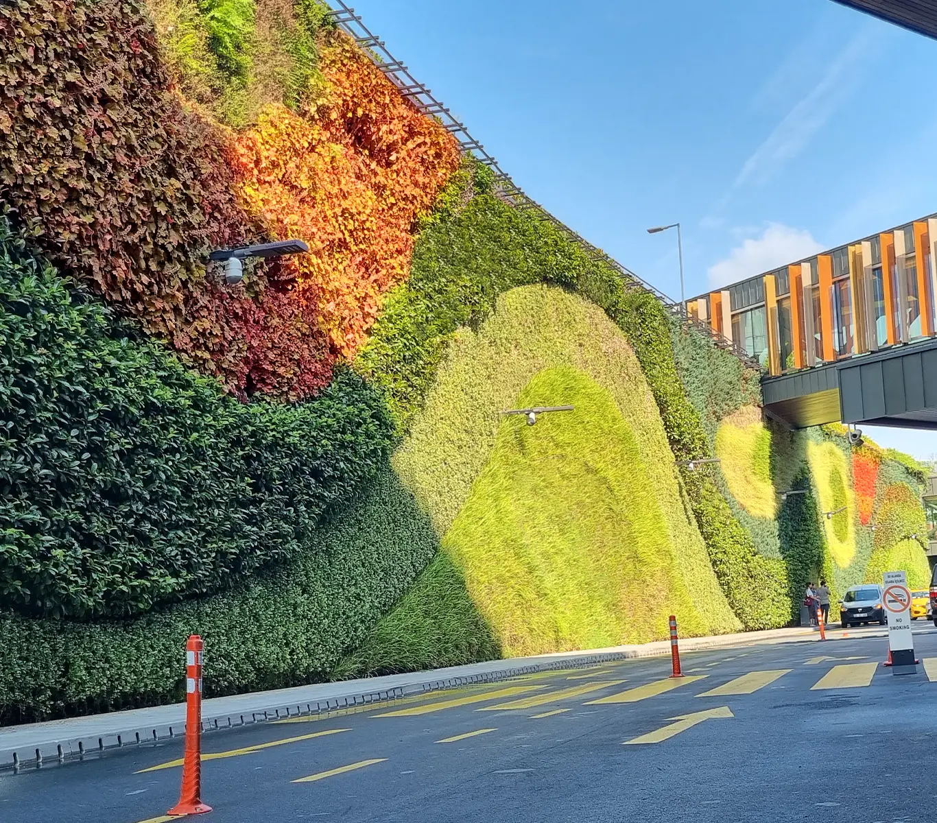 Dış mekan dikey bahçe tasarımı ve canlı bitki duvarı uygulaması.