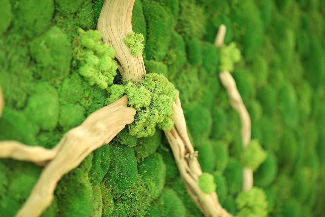 Kalyon Holding dikey bahçe projesi ve kurumsal çevre düzenleme.