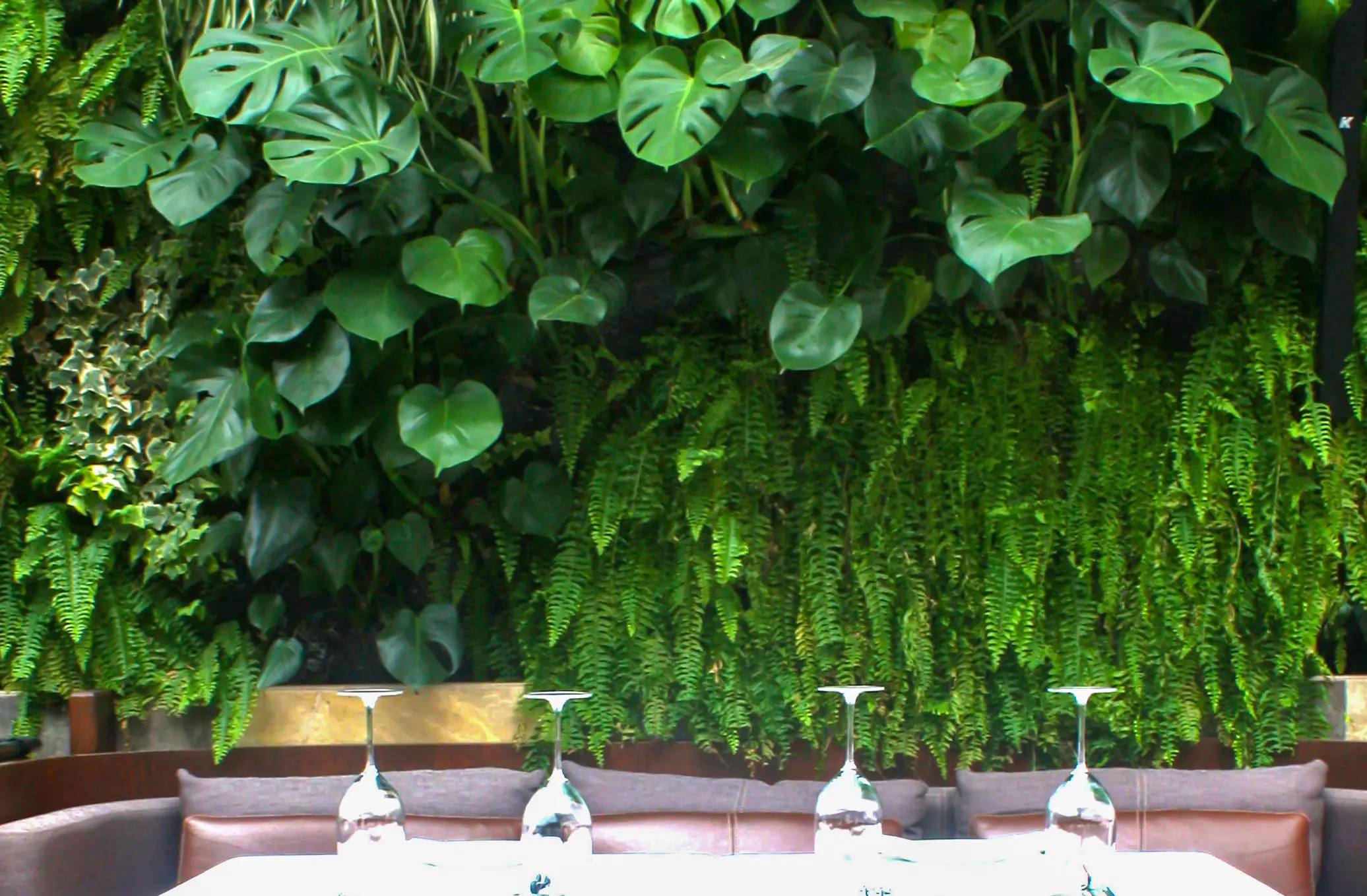 Nopa Restaurant modern dikey bahçe ve restoran peyzaj tasarımı.