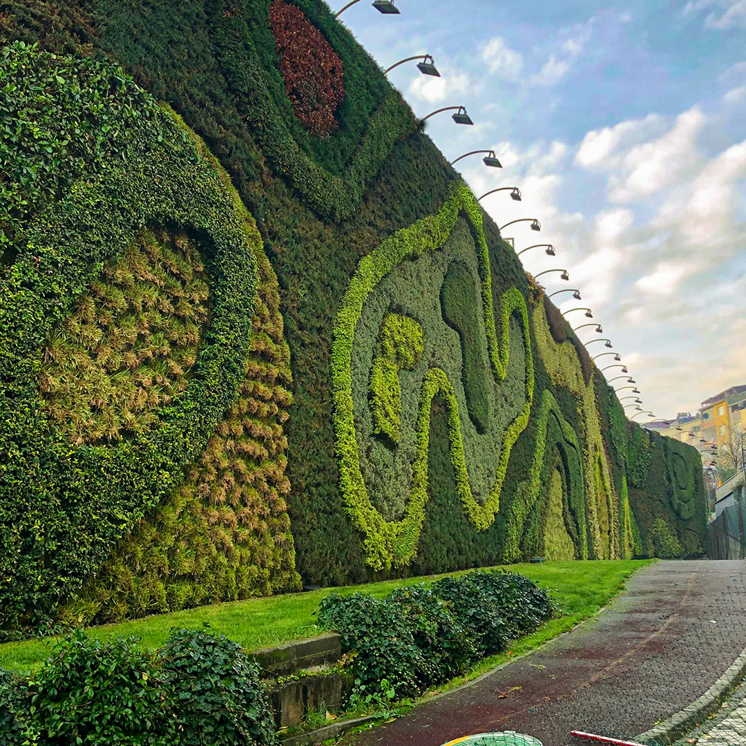 Modern bahçe peyzaj düzenlemesi ve dış mekan yeşil alan tasarımı.