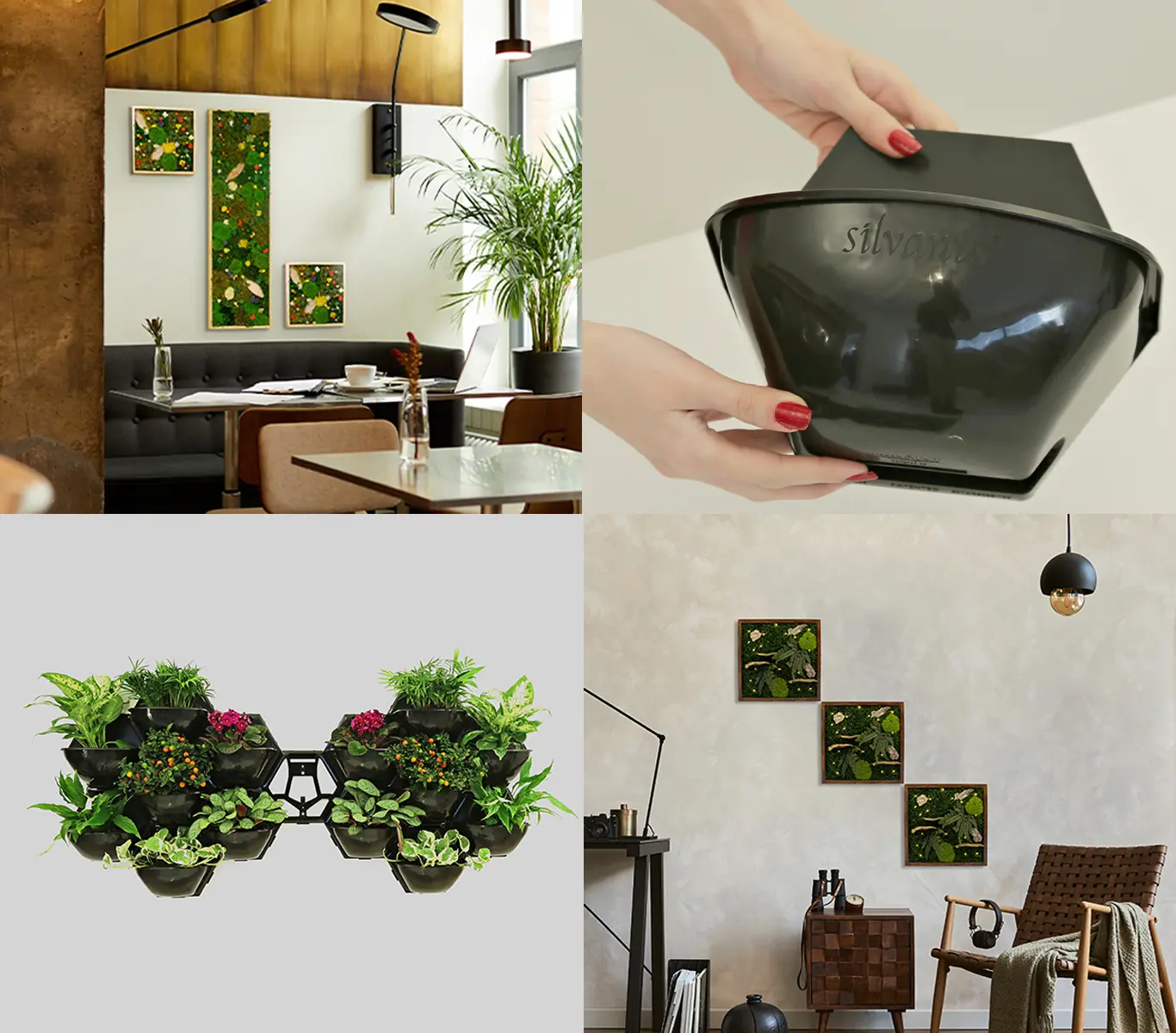 Silvanus peyzaj ürünleri, dikey bahçe modülleri ve modern bahçe dekorasyon çözümleri.