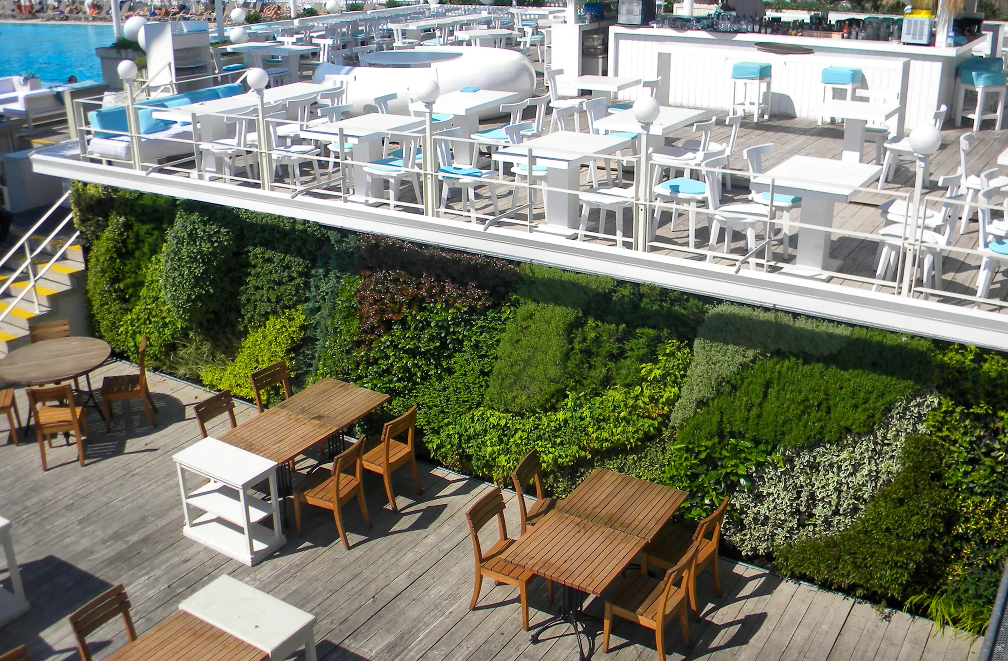 Suada (Galatasaray Adası) profesyonel peyzaj tasarımı ve dış mekan bitkilendirme uygulaması.