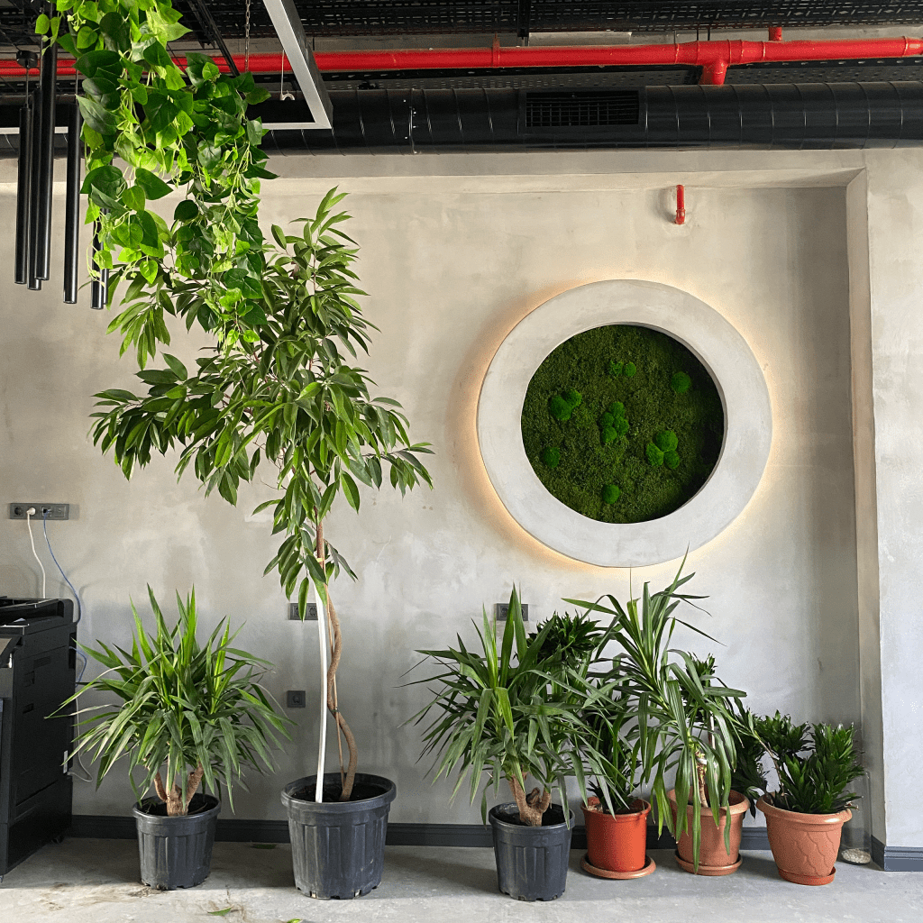 Lefaxx Tekstil modern showroom peyzajı ve yosun duvar uygulaması.
