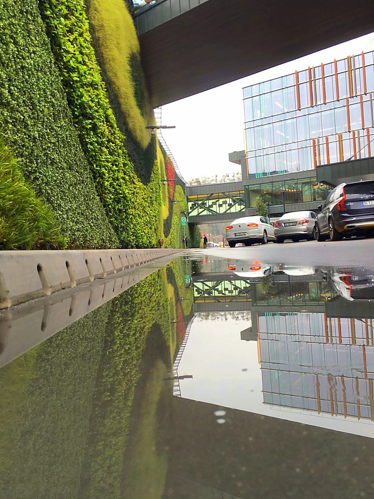 İç mekan canlı dikey bahçe uygulaması ve yaşayan yeşil duvar tasarımı.